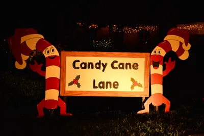 DSC_5763 (Large).JPG